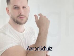 AaronSchulz