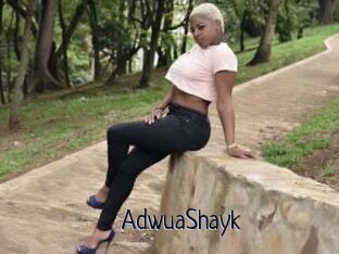 AdwuaShayk