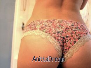 AnittaDream