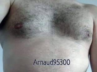 Arnaud95300