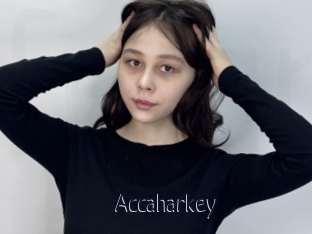 Accaharkey