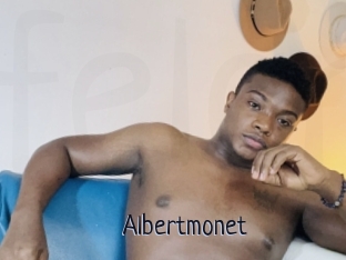 Albertmonet