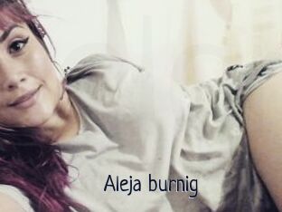 Aleja_burnig