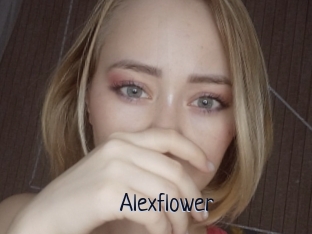 Alexflower