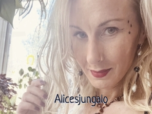 Alicesjungalo