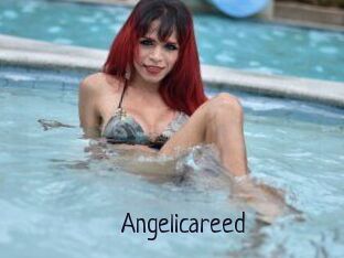 Angelicareed