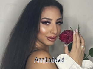 Annitadavid