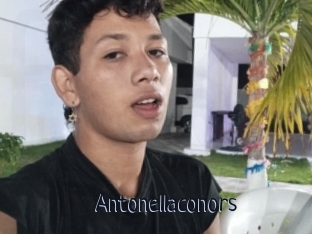 Antonellaconors