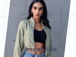 Antonelladivala