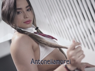 Antonellamorel