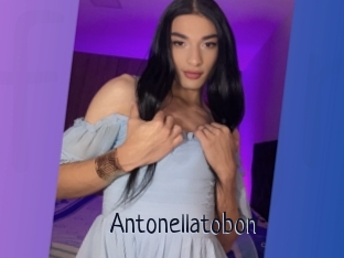 Antonellatobon