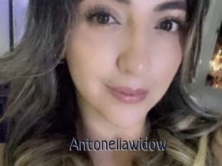 Antonellawidow