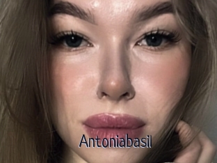 Antoniabasil