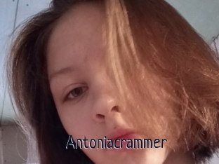 Antoniacrammer