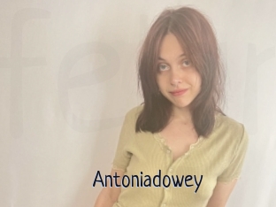 Antoniadowey