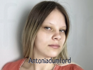 Antoniadumford