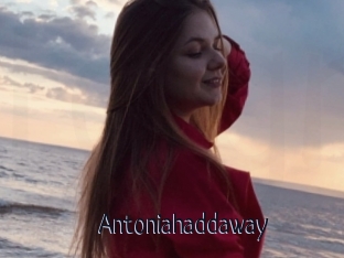 Antoniahaddaway