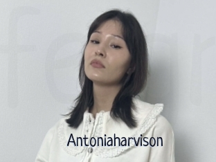 Antoniaharvison