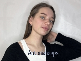 Antoniaheaps