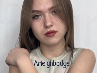 Arleighbodge