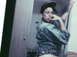 BLUEFOOSTER