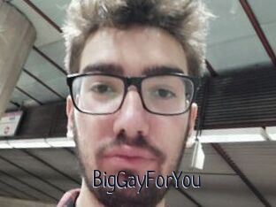 BigGayForYou