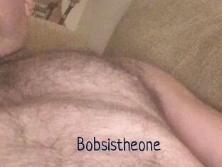 Bobsistheone