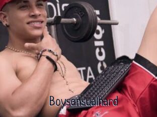 Boysensualhard