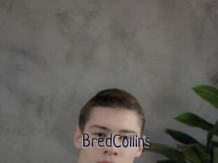 BredCollins