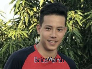 BriceMarsh