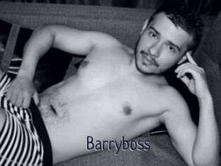 Barryboss