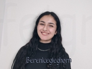 Berenicegleghorn