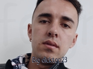 Big_dicktop23