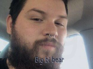 Big_bi_bear