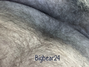 Bigbear24