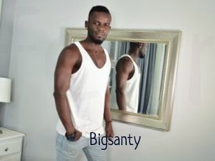 Bigsanty