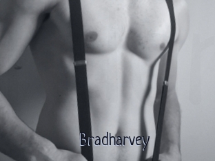 Bradharvey