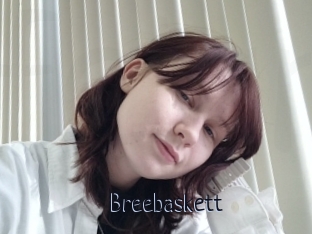 Breebaskett