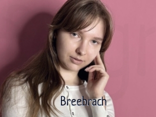 Breebrach