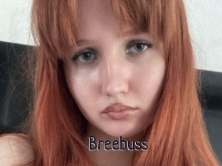 Breebuss