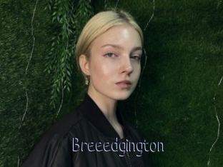 Breeedgington