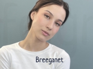 Breeganet