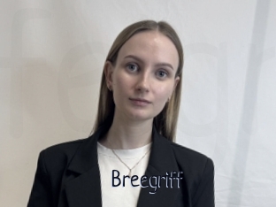 Breegriff