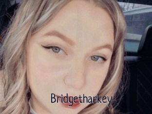 Bridgetharkey