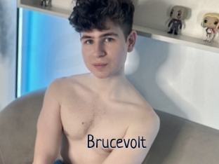 Brucevolt