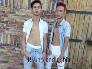 Bruno_and_robin