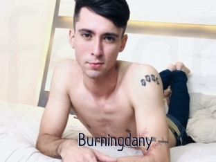 Burningdany