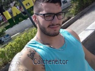 Calicheneitor