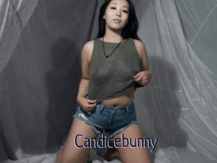 Candicebunny