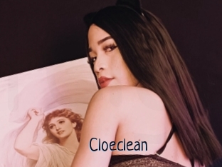 Cloeclean